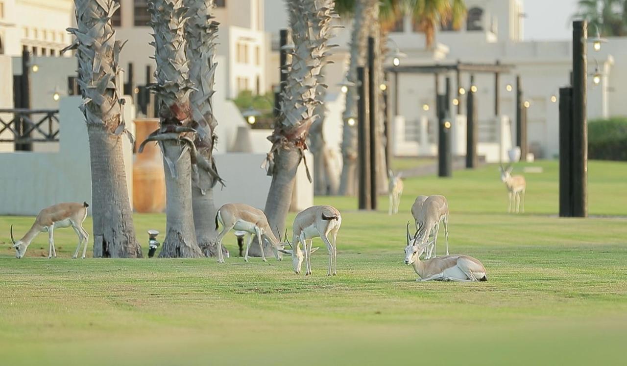 Al Maya Island & Resort Abu Dabi Exterior foto